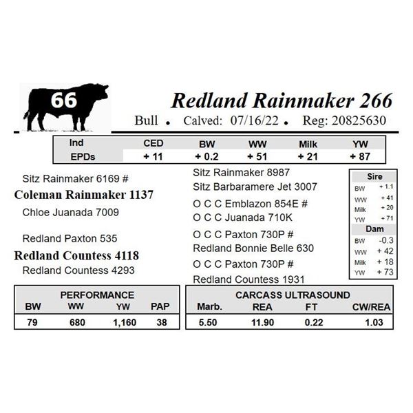 Redland Fortunate 266