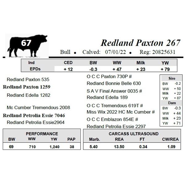 Redland Paxton 267