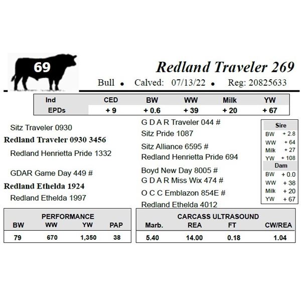 Redland Traveler 269