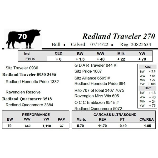 Redland Traveler 270