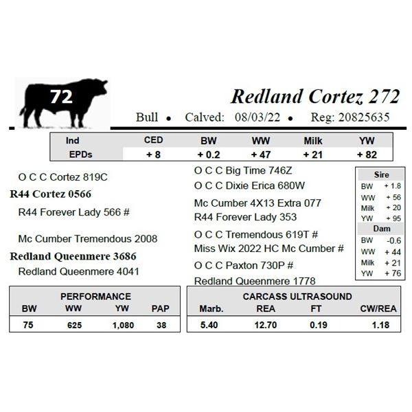 Redland Cortez 272