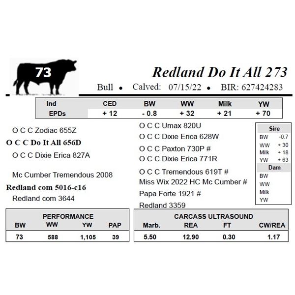 Redland Do It All 273