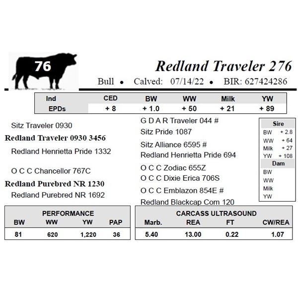 Redland Traveler 276