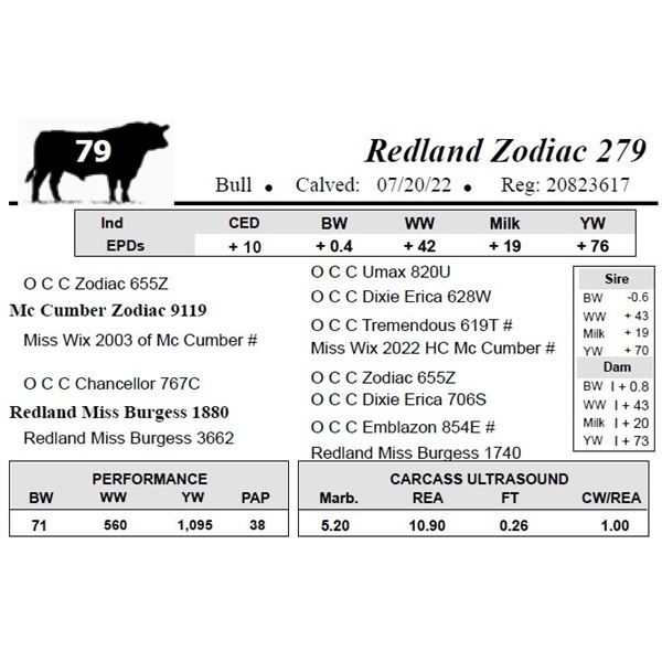 Redland Zodiac 279