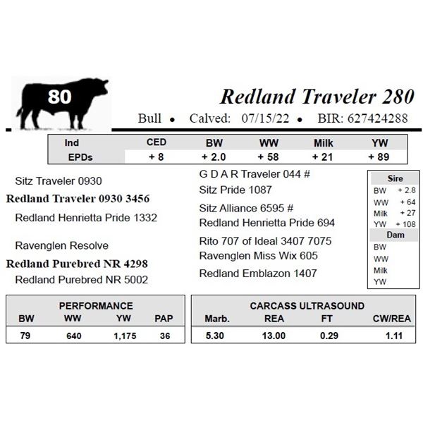 Redland Traveler 280