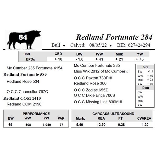 Redland Fortunate 284