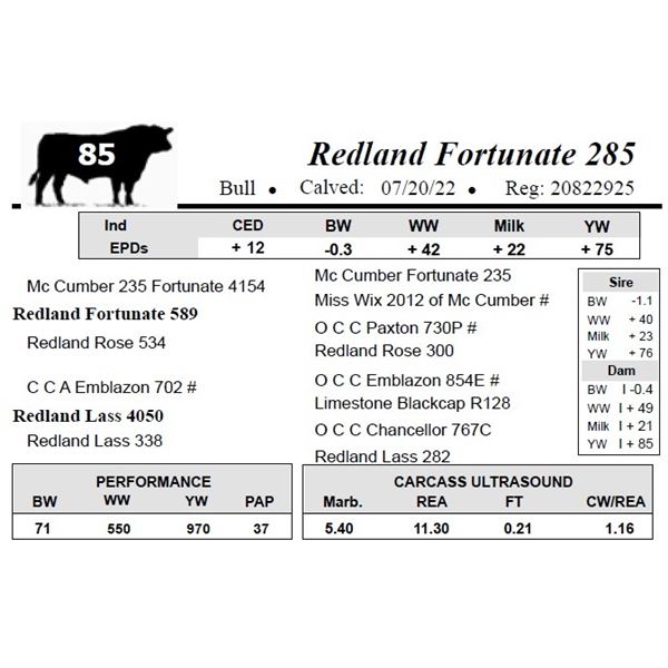 Redland Fortunate 285