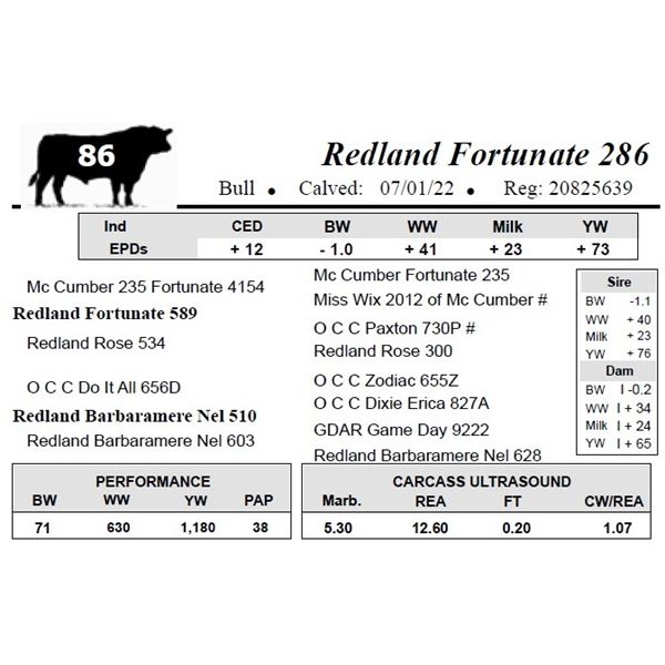 Redland Fortunate 286