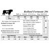 Image 1 : Redland Fortunate 286