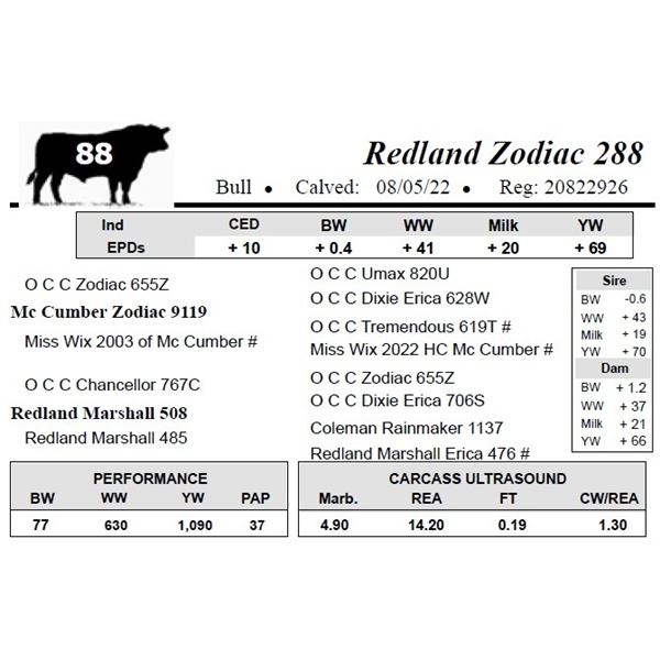 Redland Zodiac 288