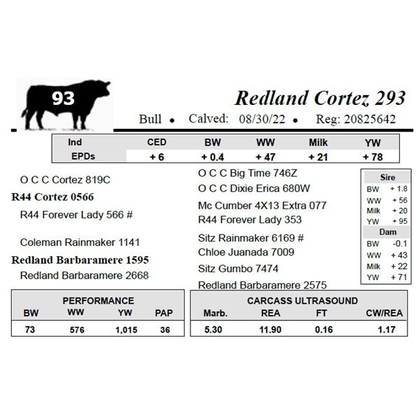 Redland Cortez 293