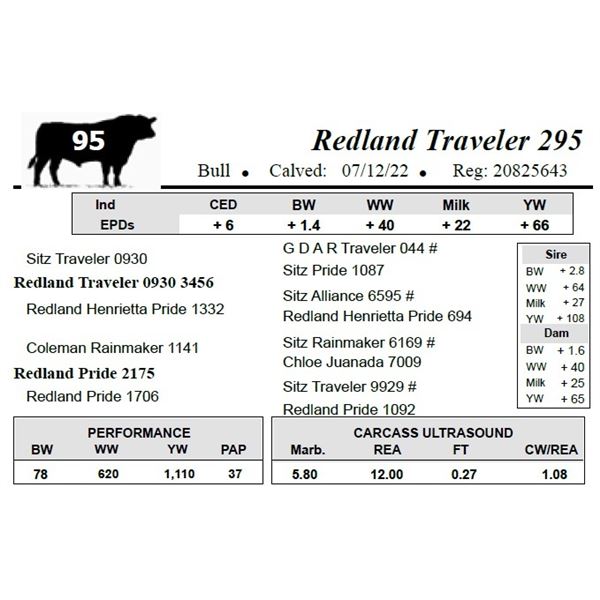 Redland Traveler 295