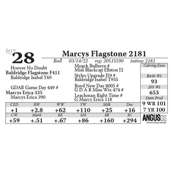Marcys Flagstone 2181