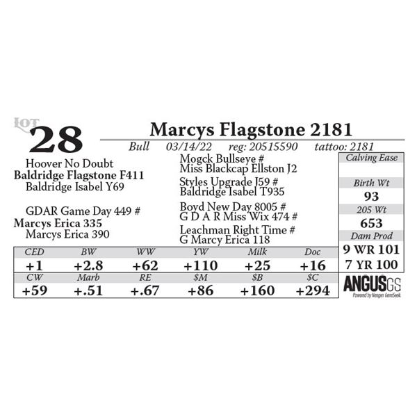 Marcys Flagstone 2181