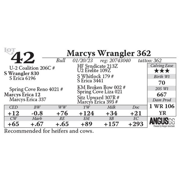 Marcys Wrangler 362