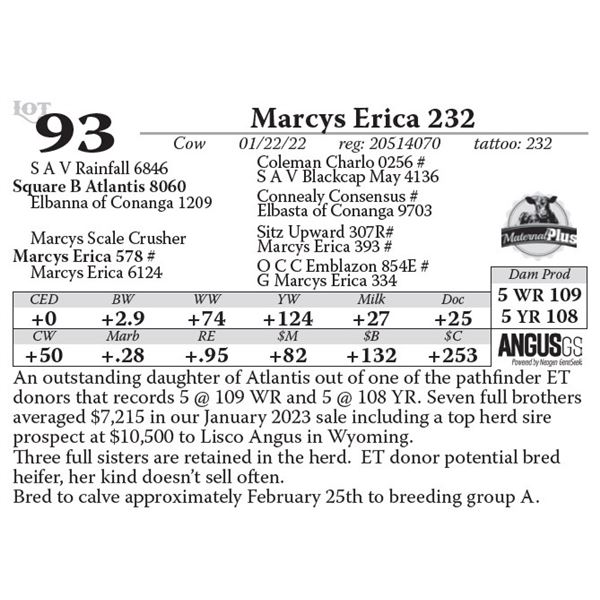 Marcys Erica 232