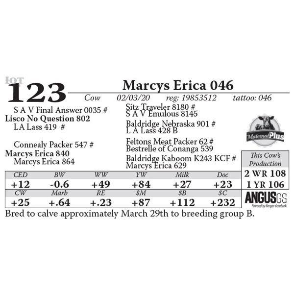 Marcys Erica 046