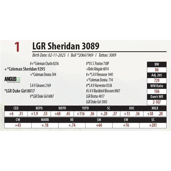 LGR Sheridan 3089