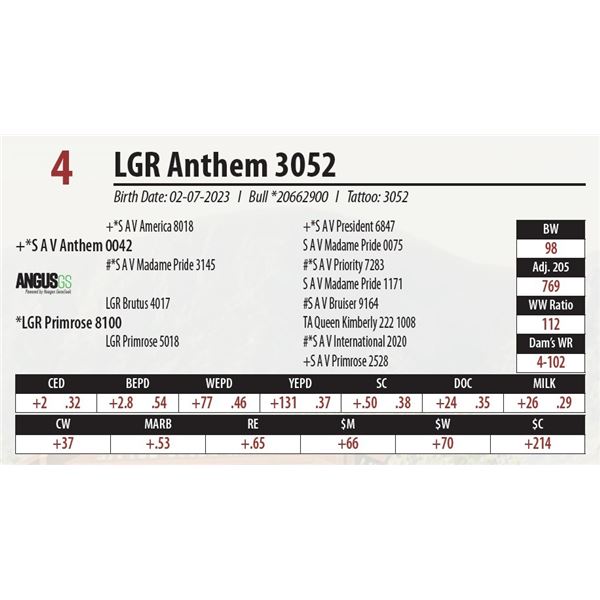 LGR Anthem 3052