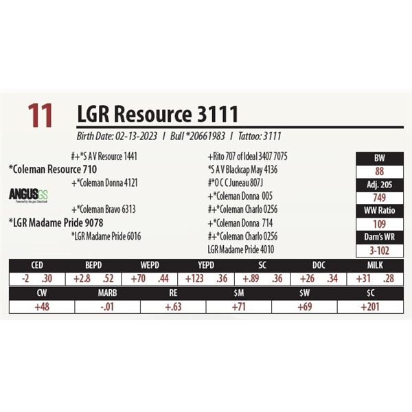 LGR Resource 3111