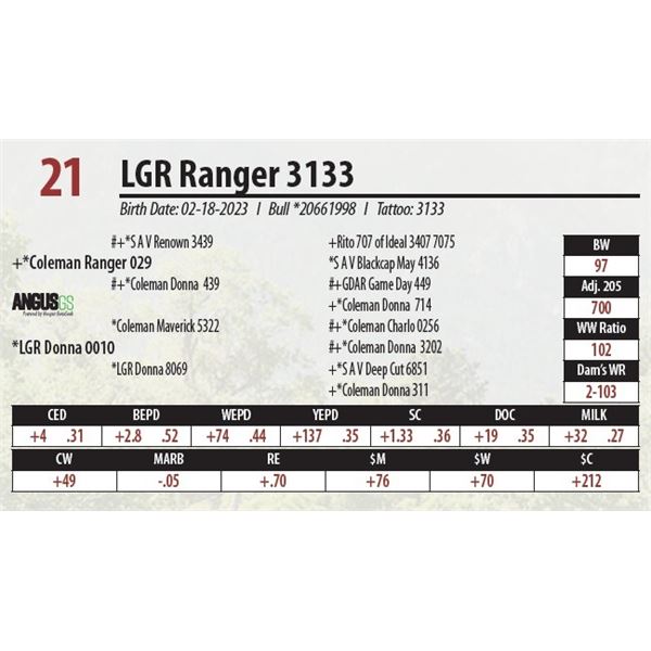 LGR Ranger 3133