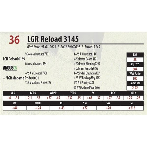 LGR Reload 3145