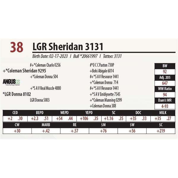 LGR Sheridan 3131