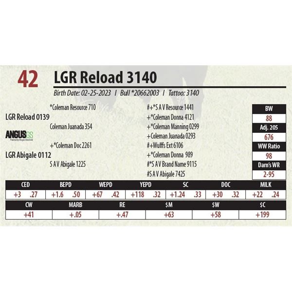 LGR Reload 3140