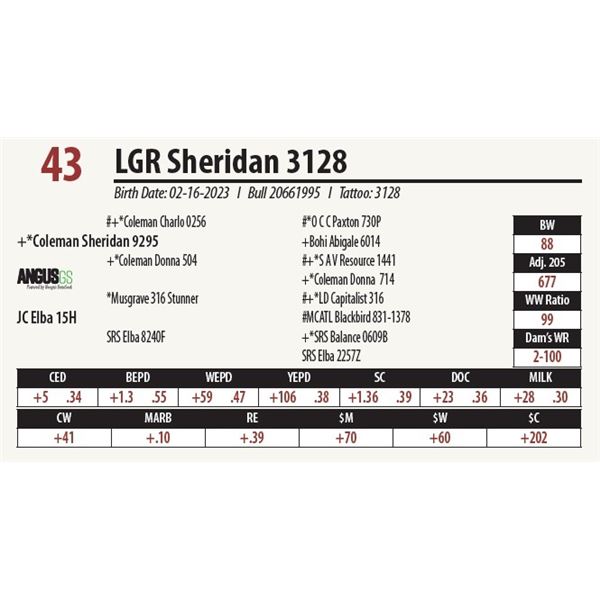 LGR Sheridan 3128