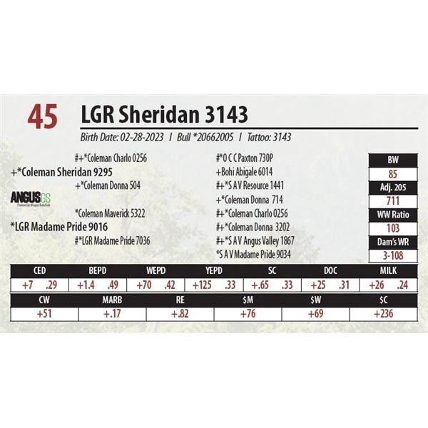 LGR Sheridan 3143