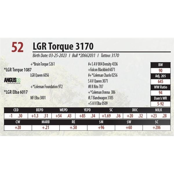 LGR Torque 3170