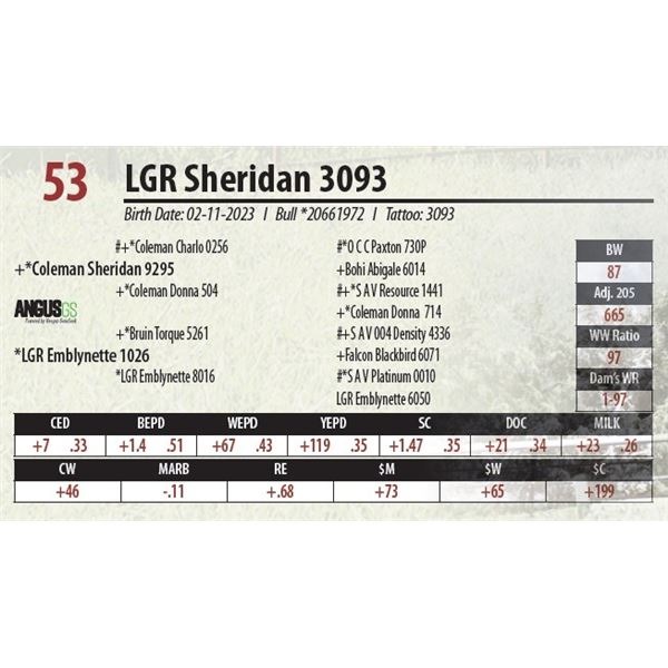 LGR Sheridan 3093