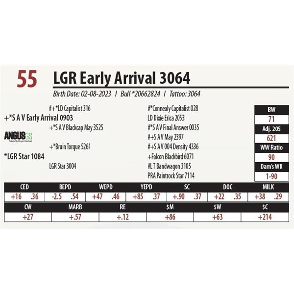 LGR Early Arrival 3064