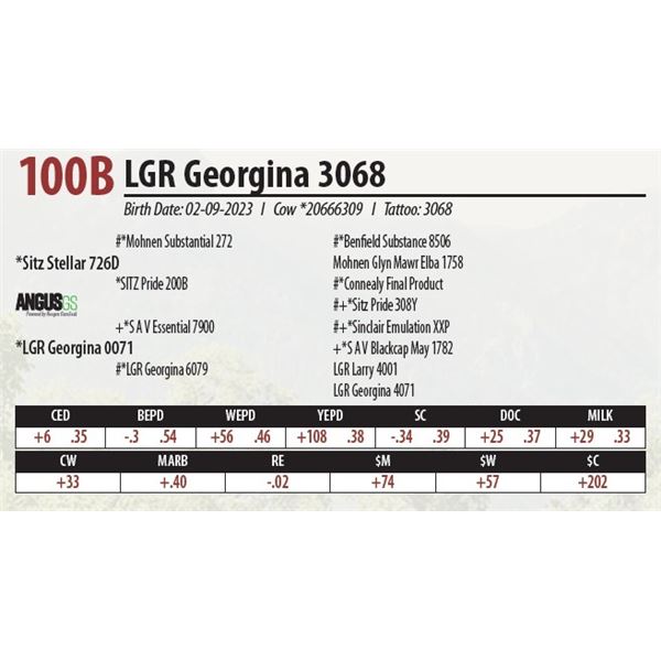 LGR Georgina 3068