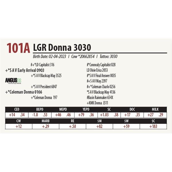 LGR Donna 3030