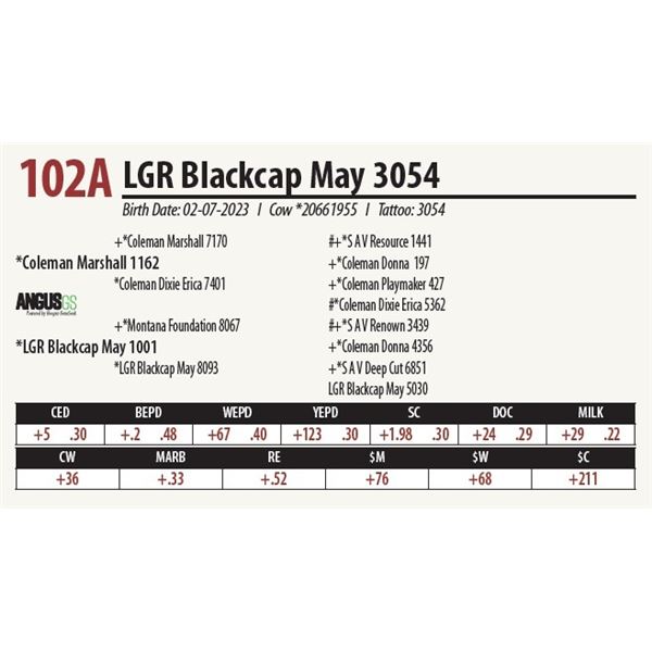 LGR Blackcap May 3054