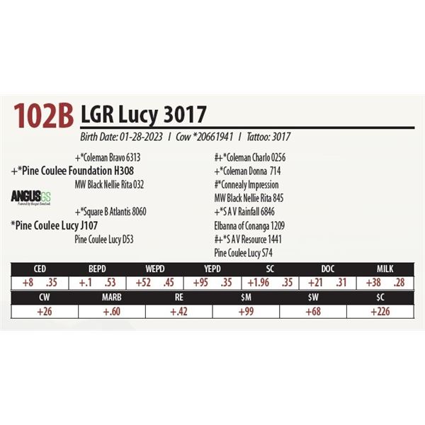 LGR Lucy 3017