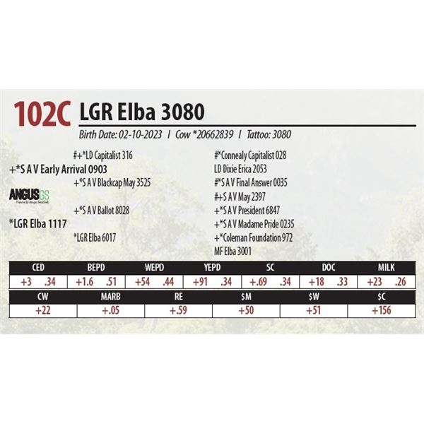 LGR Elba 3080