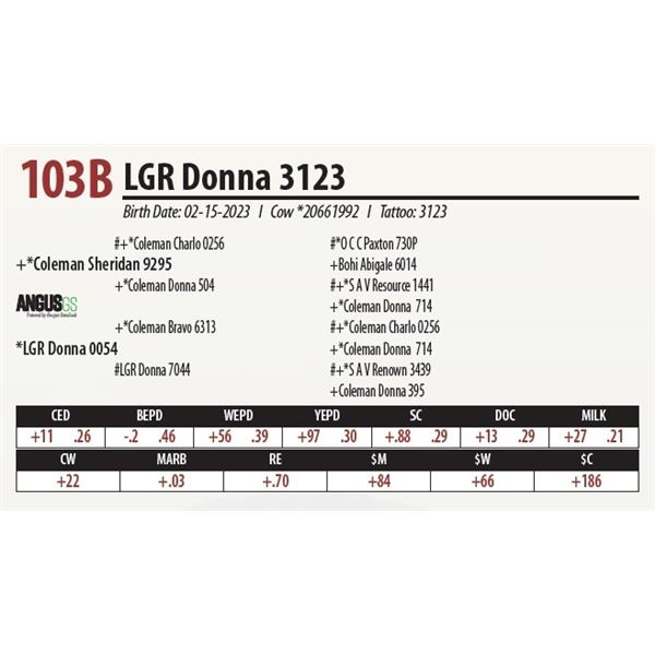 LGR Donna 3123