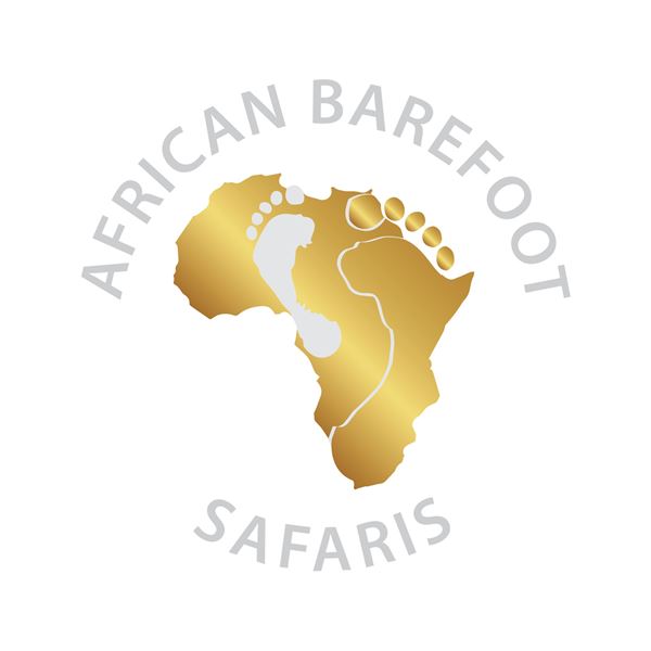 4 Hunters bow or rifle, 7 Day, 4 Animals - African Barefoot Safaris