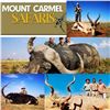 Image 2 : Two hunters six days hunting. $600-00 credit per hunter - Mount Carmel Safaris