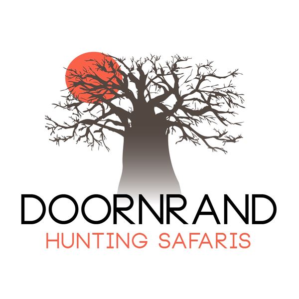 Buffalo cow package - Doornrand Safaris