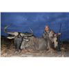 Image 3 : Full bag plainsgame with wingshooting and excursion - Bos & Dal Safaris