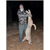 Image 2 : Night Hunting Package - JATAVU SAFARIS
