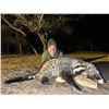 Image 3 : Night Hunting Package - JATAVU SAFARIS