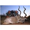 Image 4 : 10 Day Plains game Hunt for 2 Hunters in Limpopo - Paul Brits Safaris