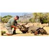 Image 2 : 5 Day hunting Safari - Signature-Adventures
