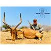 Image 5 : 5 Day hunting Safari - Signature-Adventures