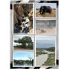 Image 2 : Kruger national park tour for 2 persons - Ibamba Safaris