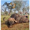 Image 2 : 7-day Free roaming Buffalo and Kudu hunt - Lloyd-Safaris